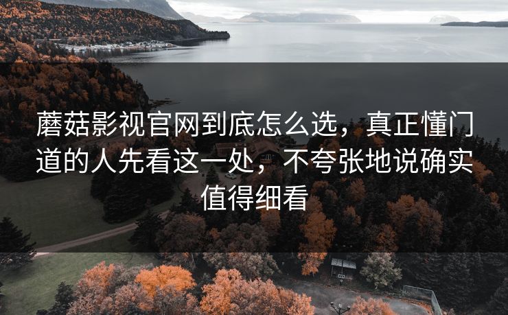 蘑菇影视官网到底怎么选，真正懂门道的人先看这一处，不夸张地说确实值得细看