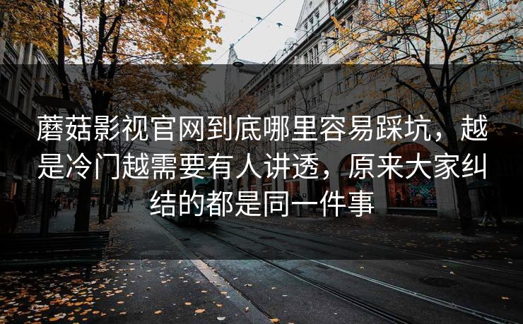 蘑菇影视官网到底哪里容易踩坑，越是冷门越需要有人讲透，原来大家纠结的都是同一件事