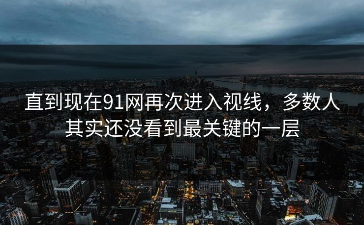 直到现在91网再次进入视线，多数人其实还没看到最关键的一层