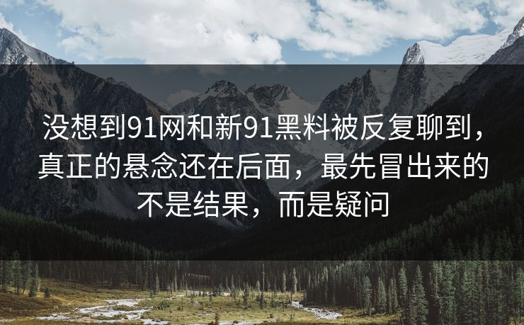 没想到91网和新91黑料被反复聊到，真正的悬念还在后面，最先冒出来的不是结果，而是疑问