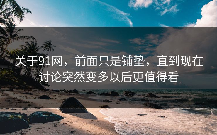 关于91网，前面只是铺垫，直到现在讨论突然变多以后更值得看