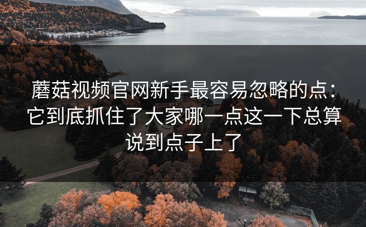 蘑菇视频官网新手最容易忽略的点：它到底抓住了大家哪一点这一下总算说到点子上了