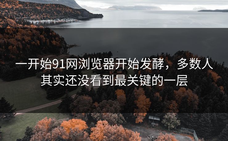 一开始91网浏览器开始发酵，多数人其实还没看到最关键的一层