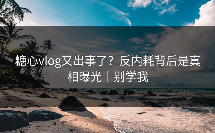 糖心vlog又出事了？反内耗背后是真相曝光｜别学我