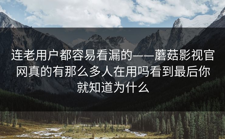 连老用户都容易看漏的——蘑菇影视官网真的有那么多人在用吗看到最后你就知道为什么
